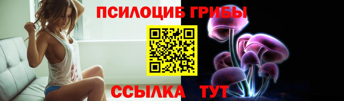 Галлюциногенные грибы GOLDEN TEACHER  Вход с VPN  Светлоград  Псилоцибиновые грибы прущие грибы 